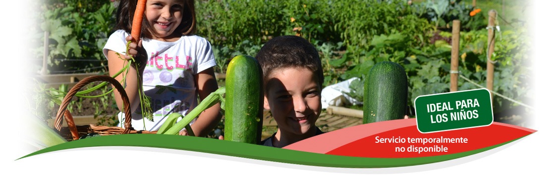 De la huerta a tu mesa